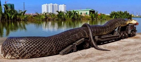 Serpiente gigante